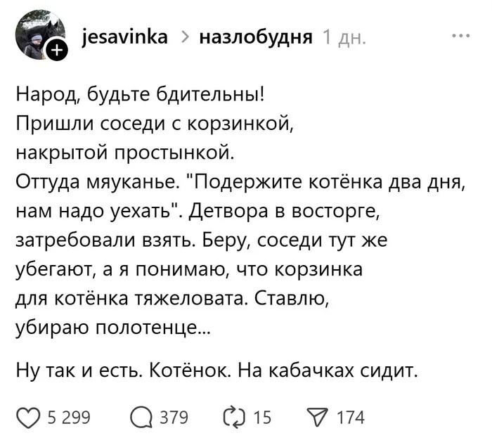 Смешные картинки