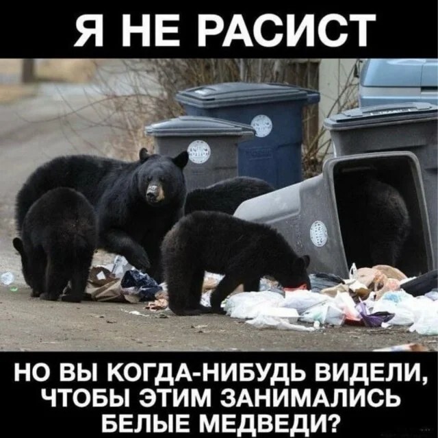Смешные картинки