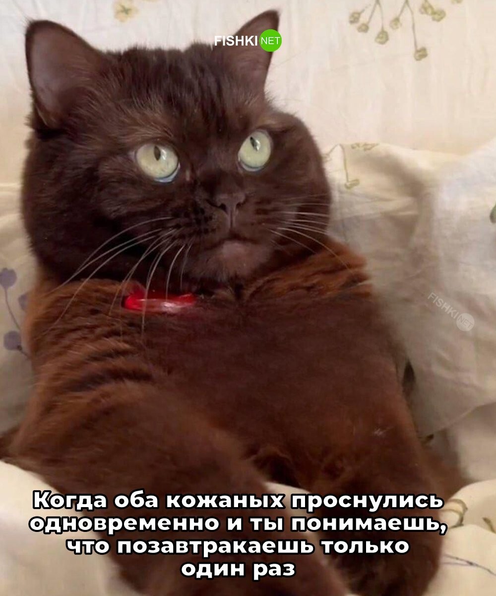 Смешные картинки