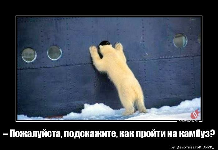– Пожалуйста, подскажите, как пройти на камбуз?