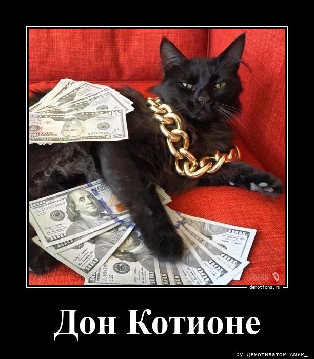 Дон Котионе