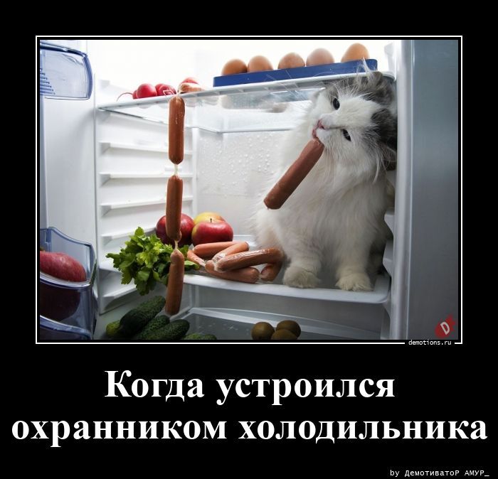 Когда устроился охранником холодильника