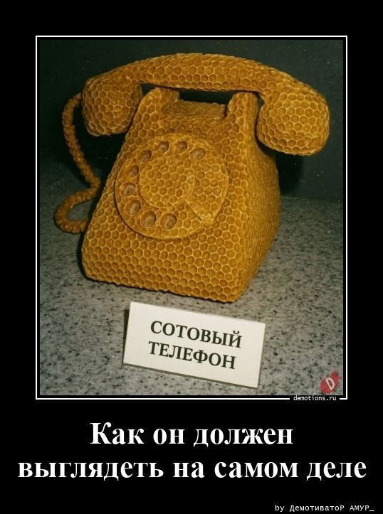 Демотиваторы для всех