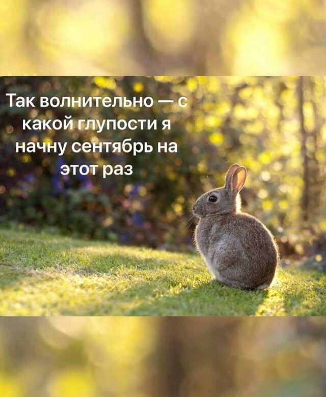 Скрины из соцсетей