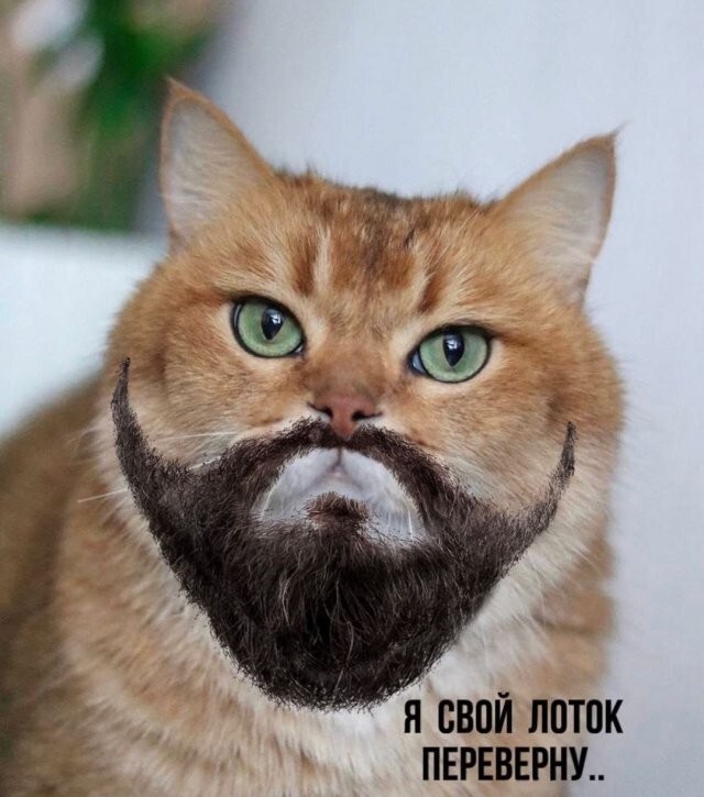 Скрины из соцсетей