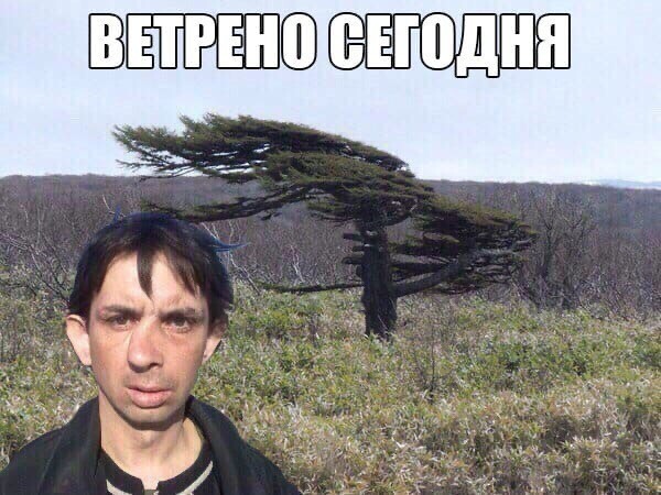 Не ищите здесь смысл. Здесь в основном маразм