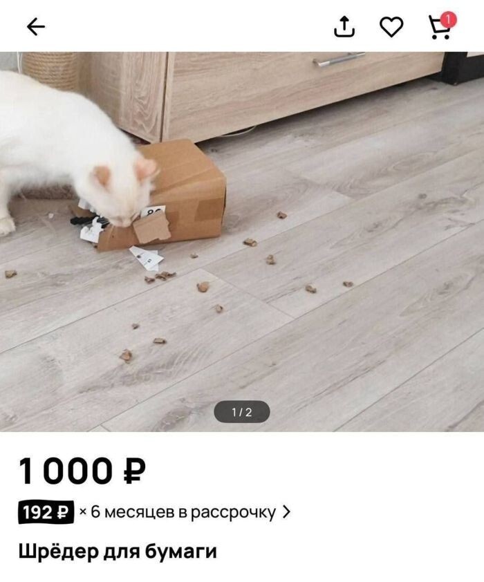 Не ищите здесь смысл. Здесь в основном маразм
