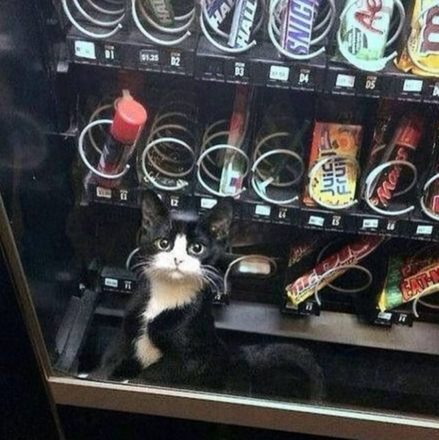 Скрины из соцсетей