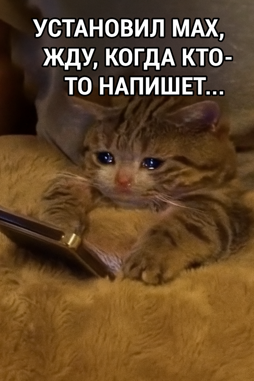 MAX в мемах: самые смешные шутки про новый мессенджер