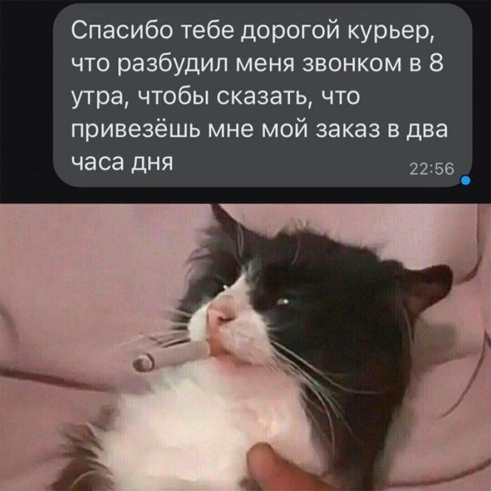 Не ищите здесь смысл. Здесь в основном маразм