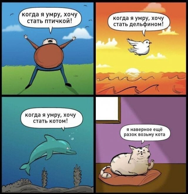 Скрины из соцсетей