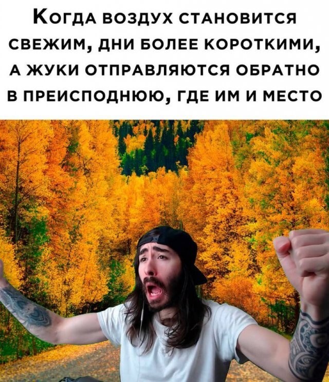 Скрины из соцсетей