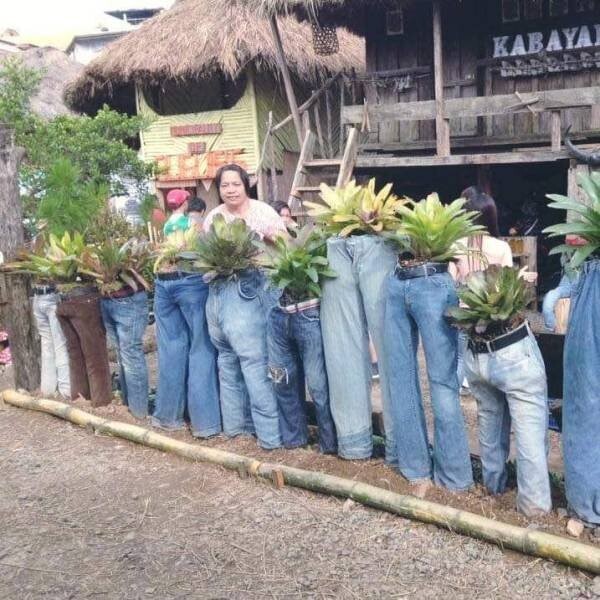 Намешалось