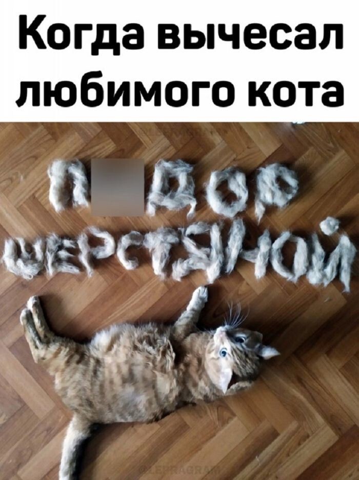 Не ищите здесь смысл. Здесь в основном маразм