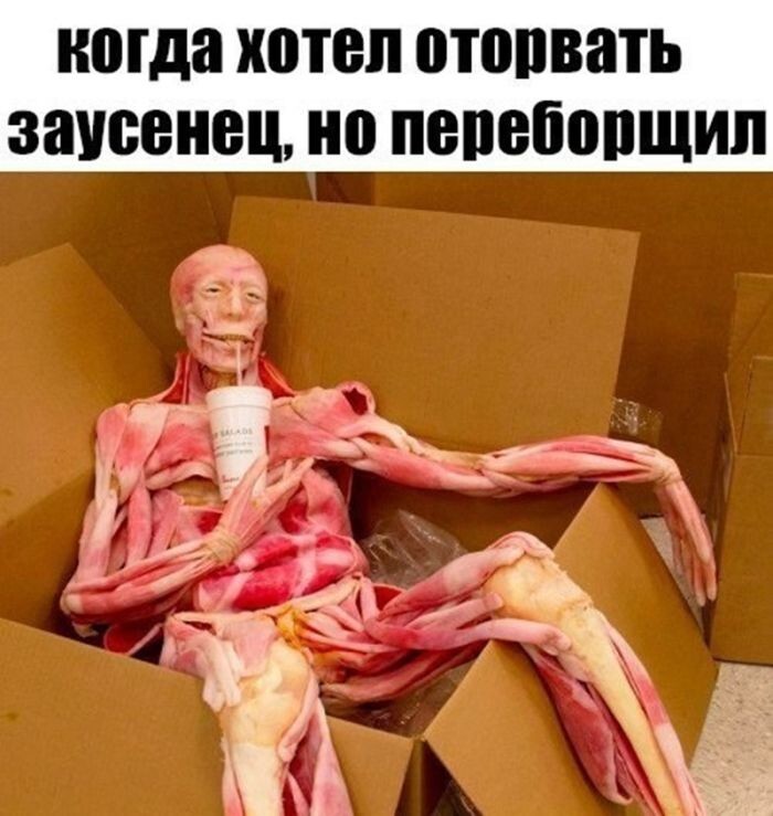 Не ищите здесь смысл. Здесь в основном маразм