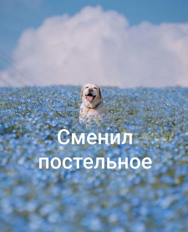 Продолжаем барражировать соцсети