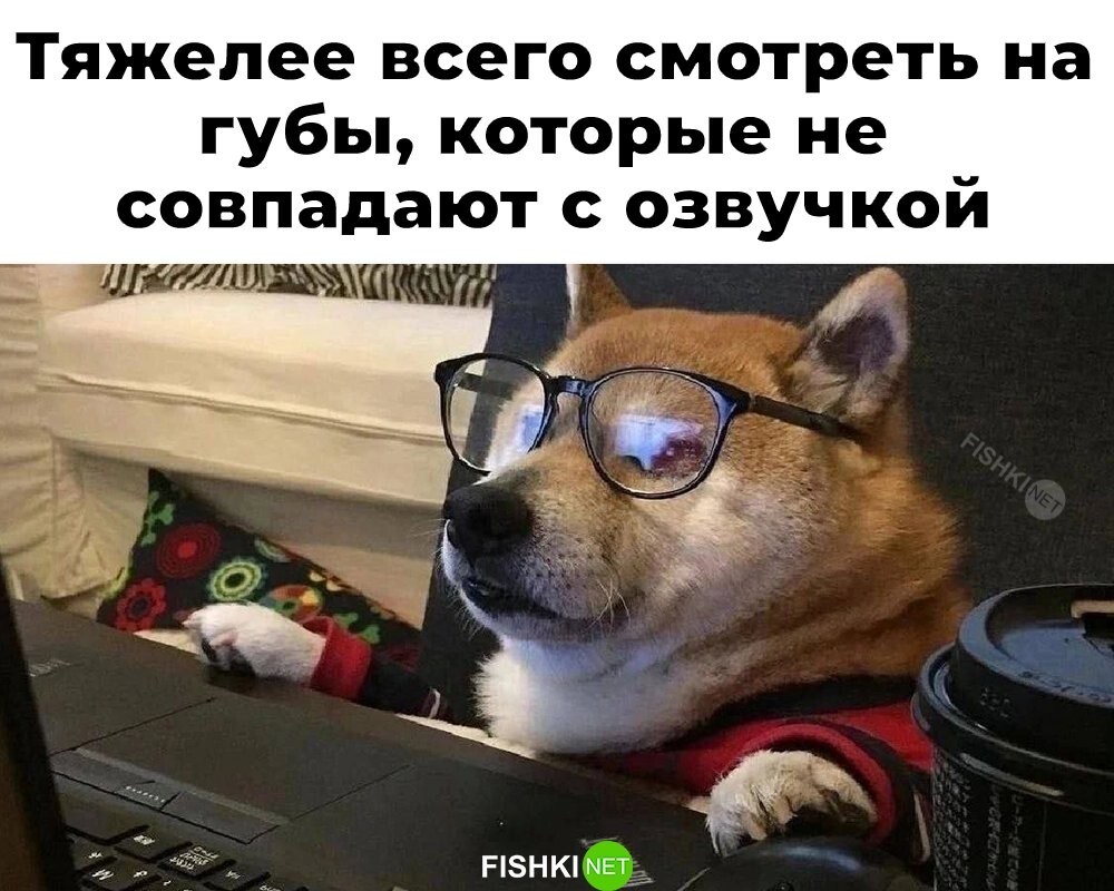 Продолжаем барражировать соцсети