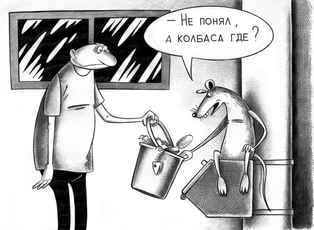 Политика , политика