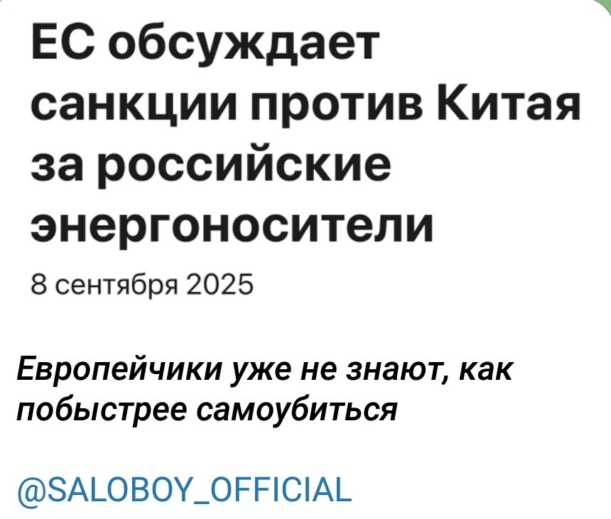 Политика , политика