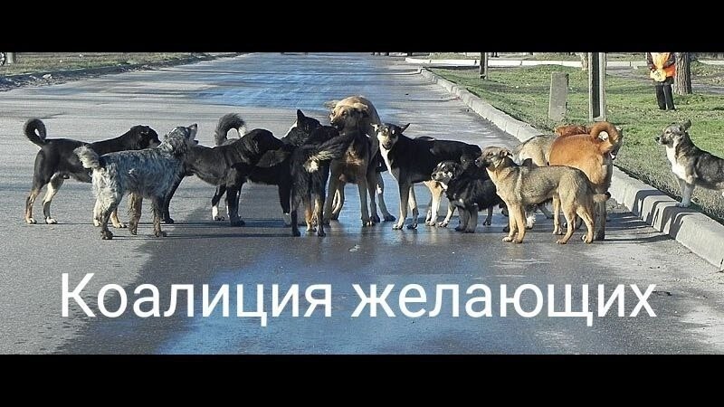Политика , политика