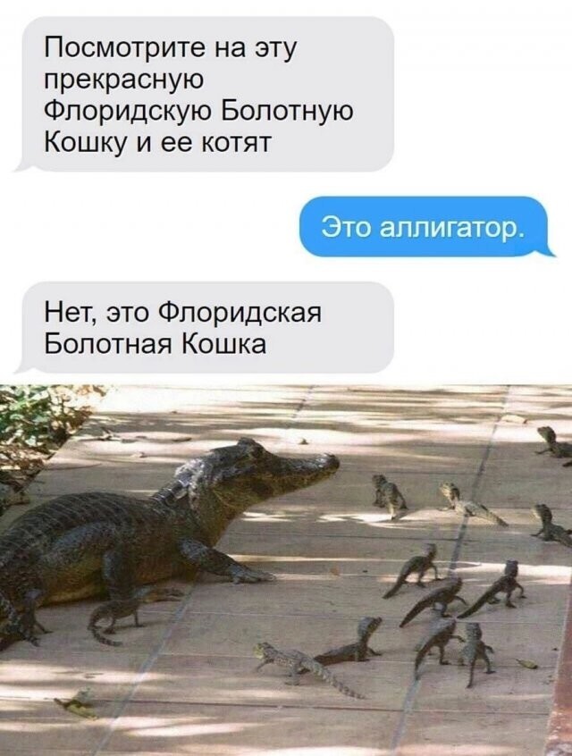 Скрины из соцсетей