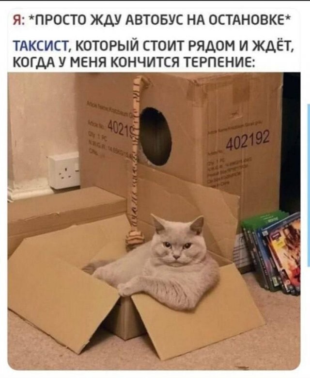 Скрины из соцсетей