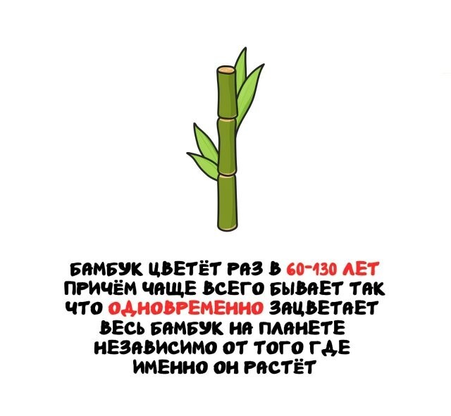 А вдруг ты не знал…