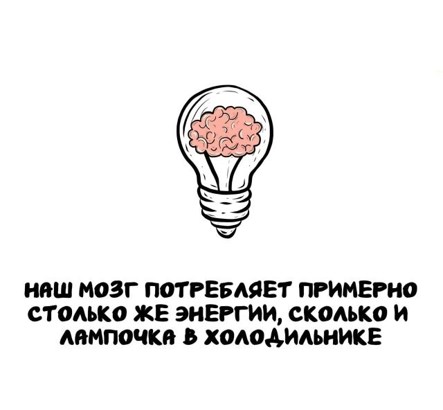 А вдруг ты не знал…