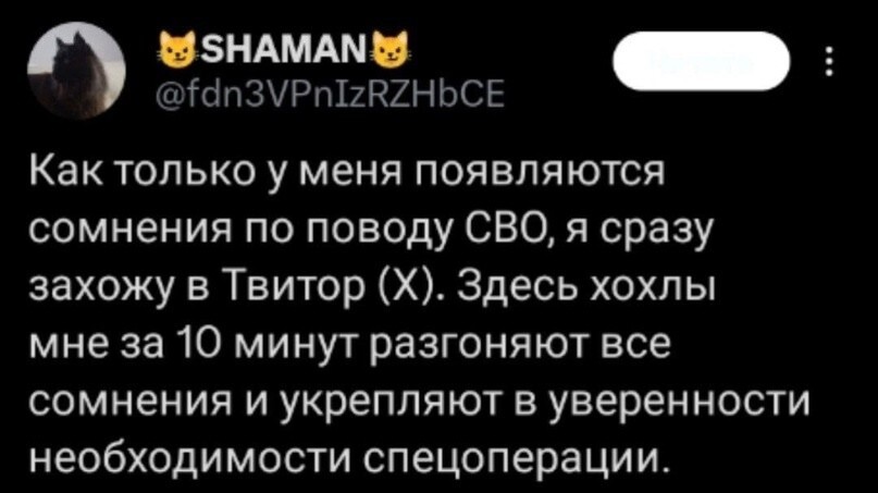 Лишь о политике