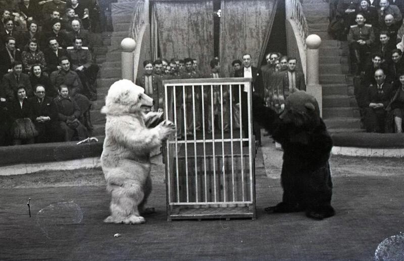 1950-е. Клоунский дуэт: Демаш и Мозель
