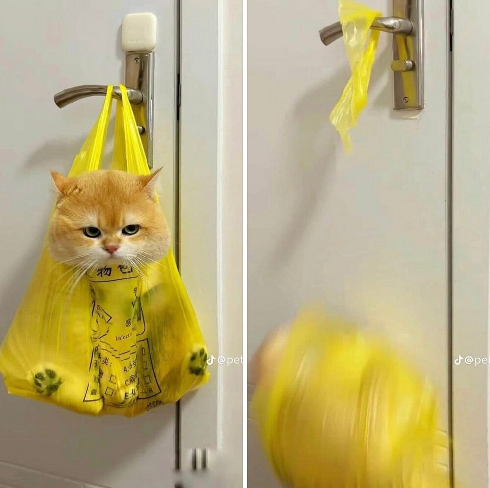 На общую тему 