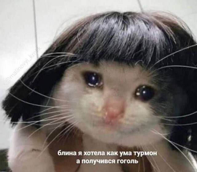 Скрины из соцсетей