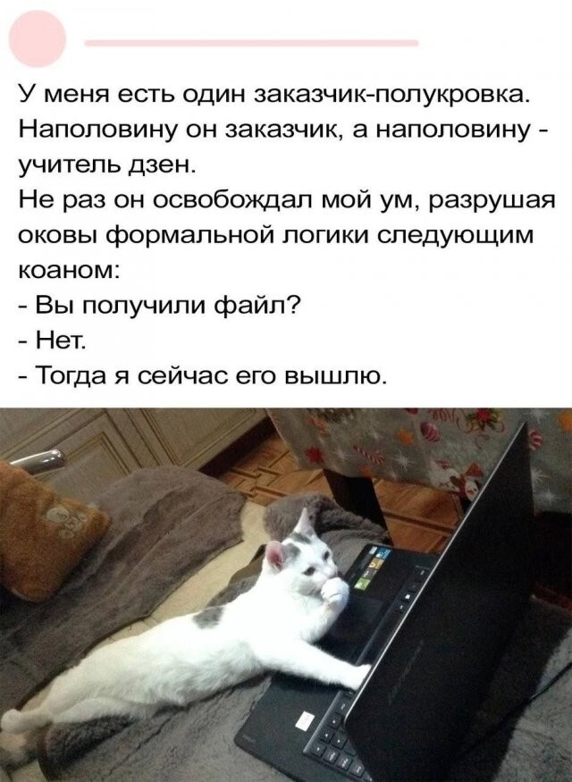 Скрины из соцсетей