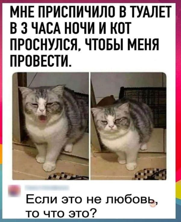 Скрины из соцсетей