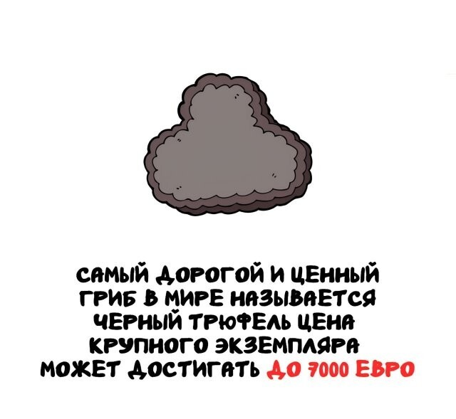 А вдруг ты не знал…