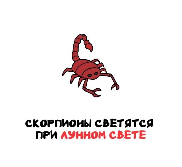 А вдруг ты не знал…