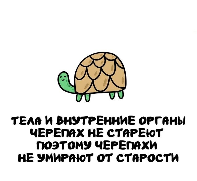 А вдруг ты не знал…