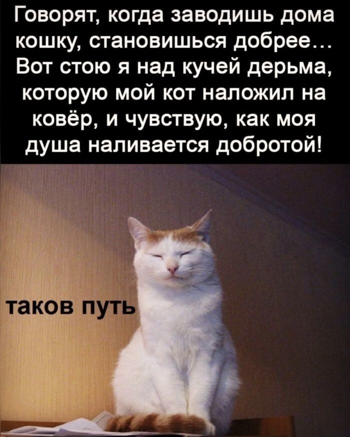 Не ищите здесь смысл. Здесь в основном маразм