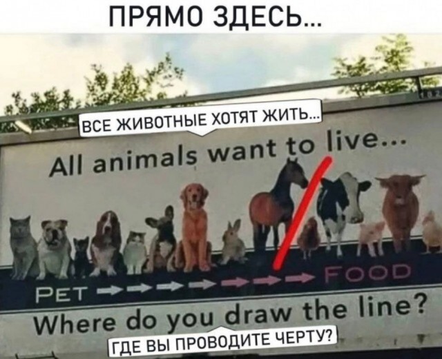 Не ищите здесь смысл. Здесь в основном маразм