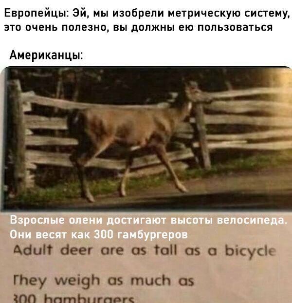 Не ищите здесь смысл. Здесь в основном маразм