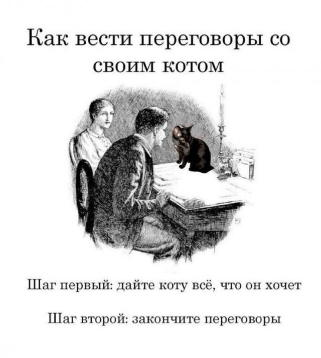 Не ищите здесь смысл. Здесь в основном маразм
