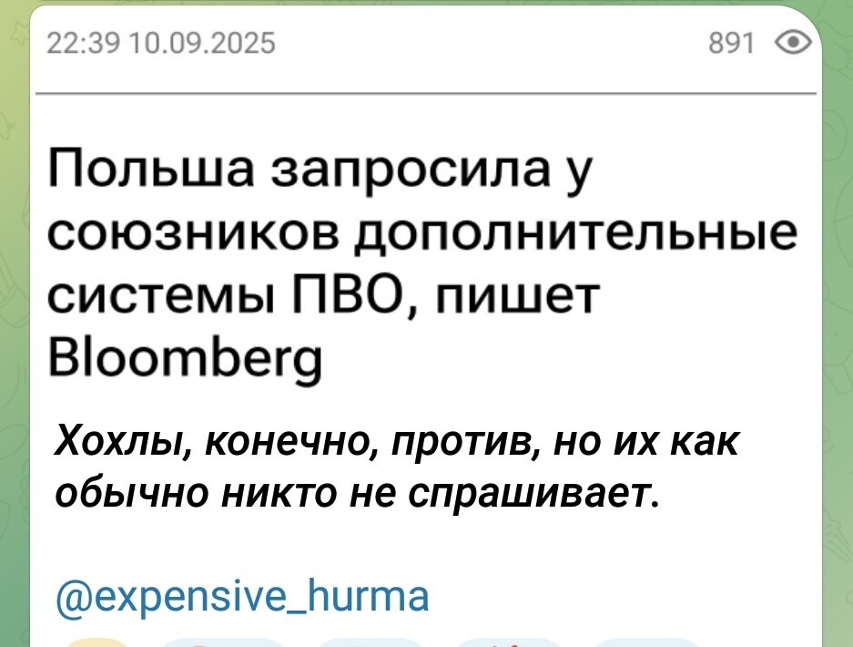 Лишь о политике