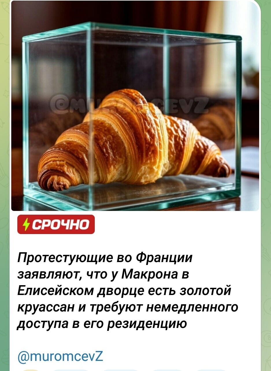 Лишь о политике