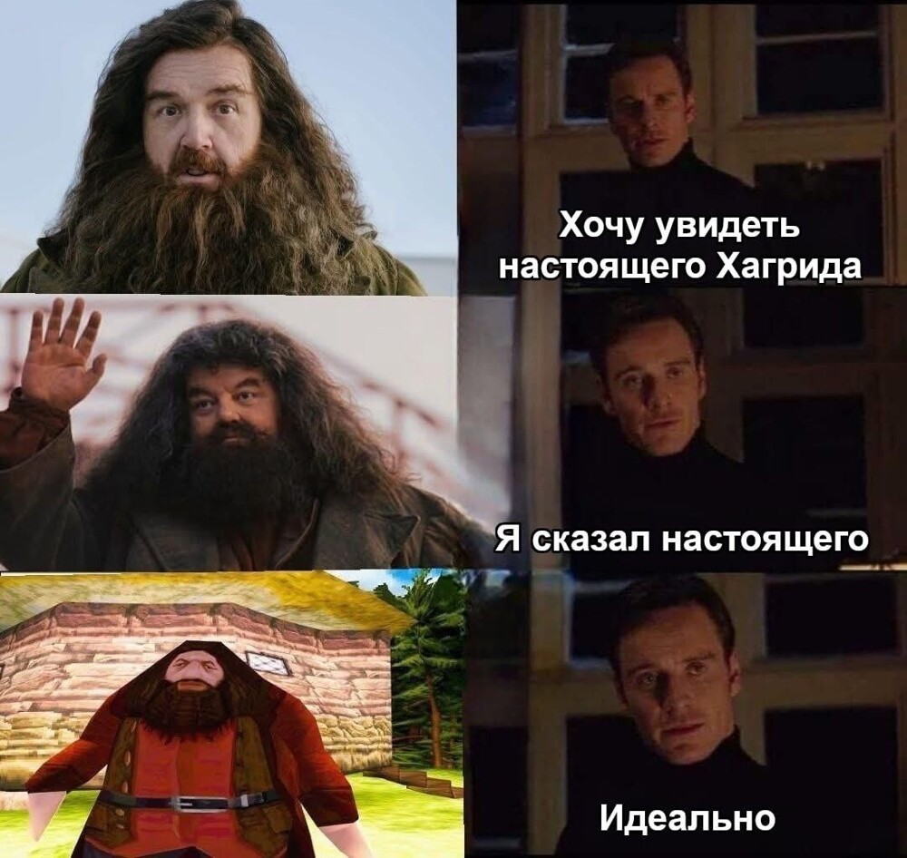 11. Крис Коламбус, режиссёр первых двух фильмов по "Гарри Поттеру", сказал, что не понимает смысла переснимать книгу, если у них всё такое же, даже костюм у Хагрида тот же
