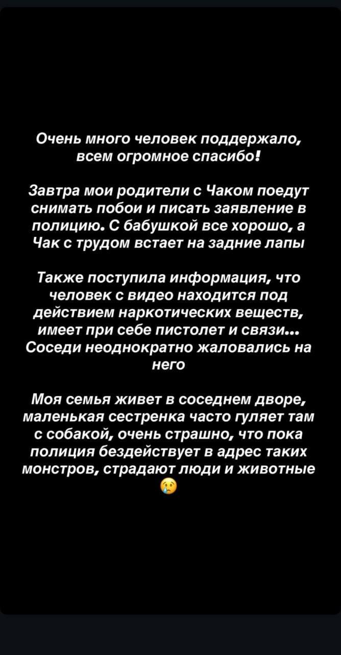 В Башкирии мужчина избил пенсионерку и её собаку прямо на улице