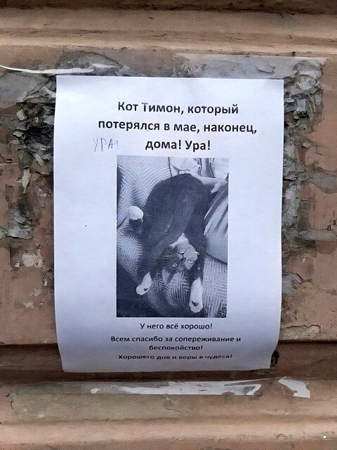ФотоВсячина