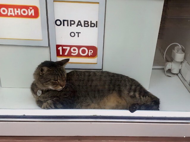 ФотоВсячина