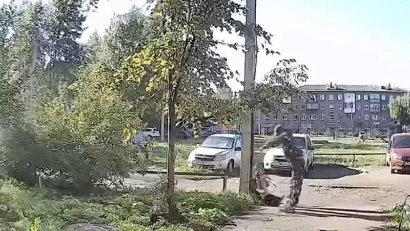 В Башкирии мужчина избил пенсионерку и её собаку прямо на улице
