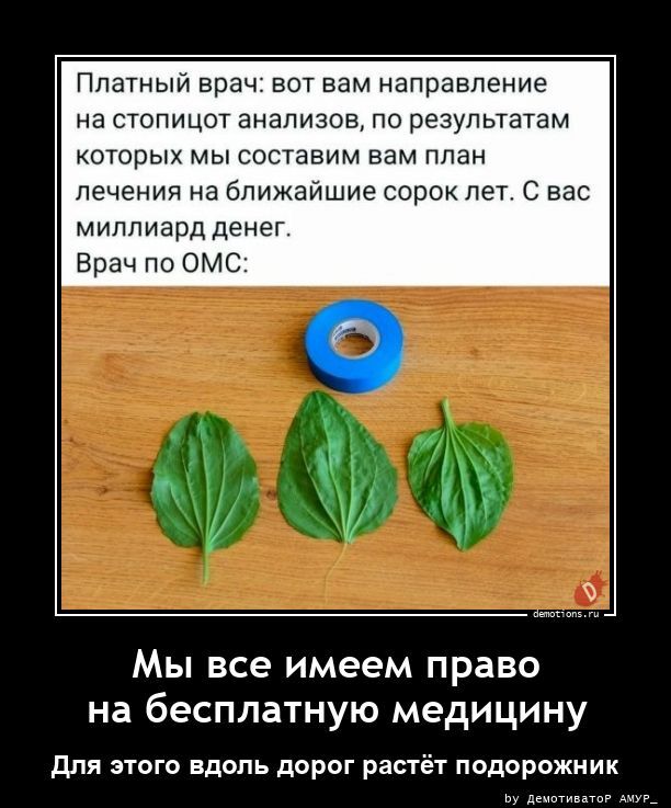Мы все имеем право на бесплатную медицину