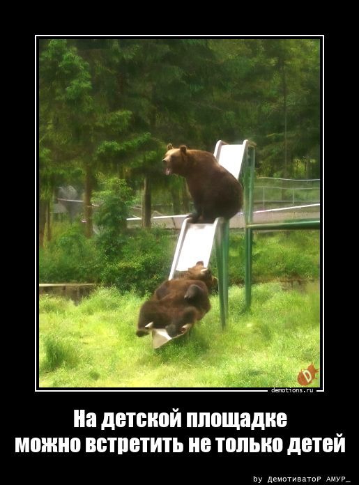 На детской площадке можно встретить не только детей